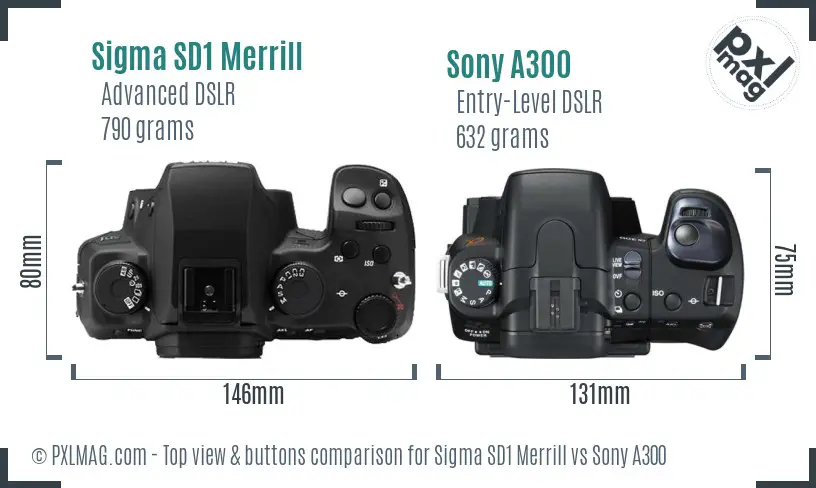 Sigma SD1 Merrill vs Sony A300 top view buttons comparison