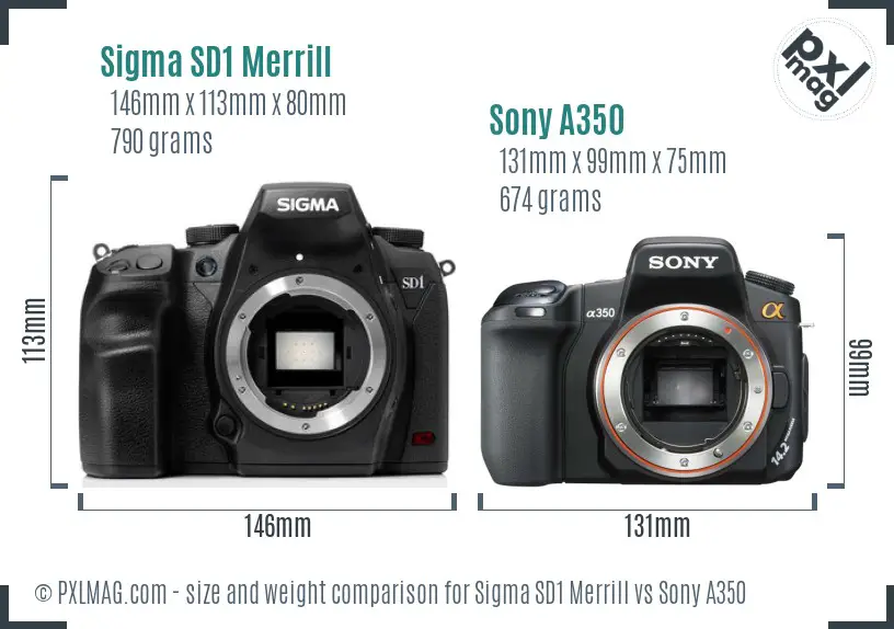 Sigma SD1 Merrill vs Sony A350 size comparison Sigma SD1 Merrill vs Sony A350 size comparison