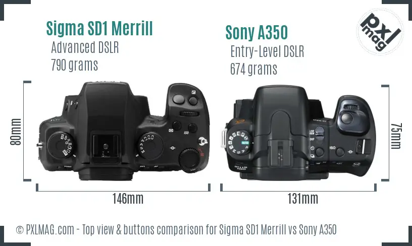 Sigma SD1 Merrill vs Sony A350 top view buttons comparison