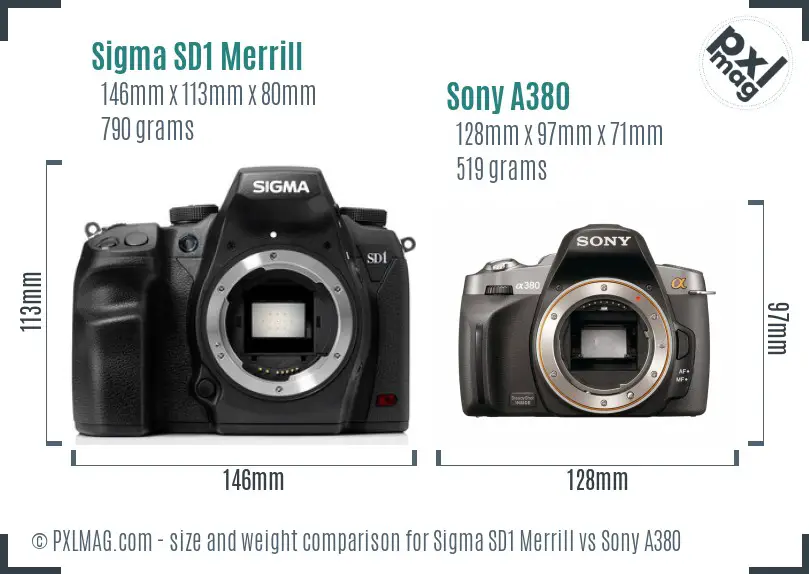 Sigma SD1 Merrill vs Sony A380 size comparison Sigma SD1 Merrill vs Sony A380 size comparison