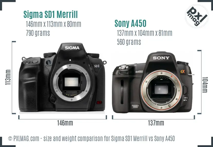 Sigma SD1 Merrill vs Sony A450 size comparison