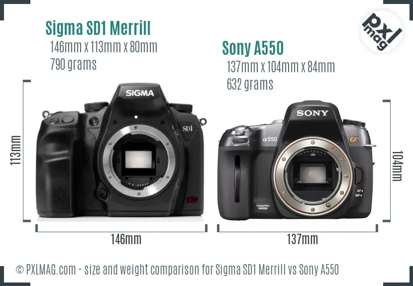 Sigma SD1 Merrill vs Sony A550 size comparison