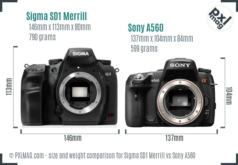 Sigma SD1 Merrill vs Sony A560 size comparison