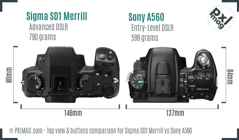 Sigma SD1 Merrill vs Sony A560 top view buttons comparison