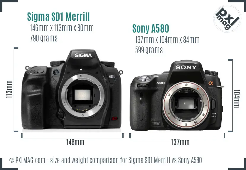 Sigma SD1 Merrill vs Sony A580 size comparison
