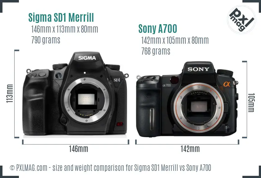 Sigma SD1 Merrill vs Sony A700 size comparison