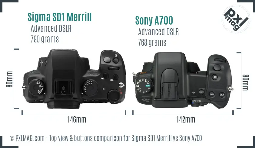 Sigma SD1 Merrill vs Sony A700 top view buttons comparison