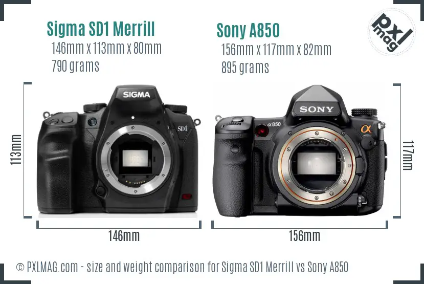 Sigma SD1 Merrill vs Sony A850 size comparison