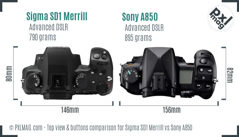 Sigma SD1 Merrill vs Sony A850 top view buttons comparison