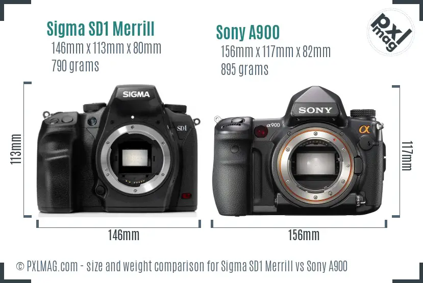Sigma SD1 Merrill vs Sony A900 size comparison