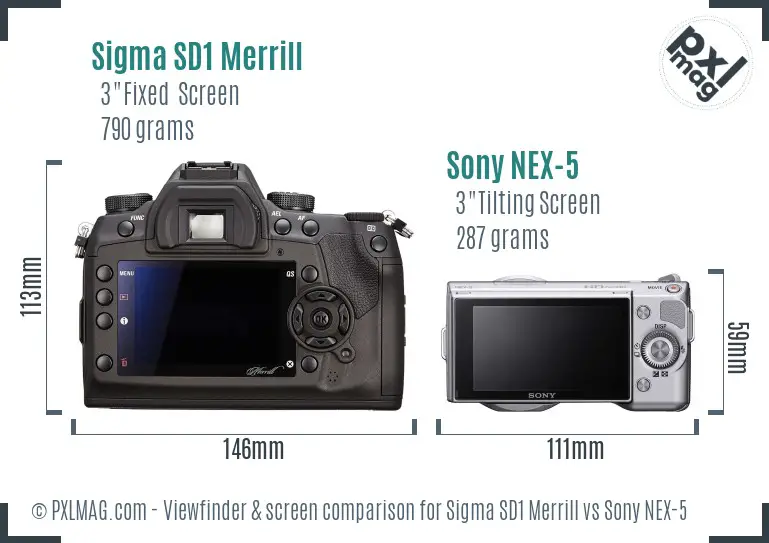 Sigma SD1 Merrill vs Sony NEX-5 Screen and Viewfinder comparison