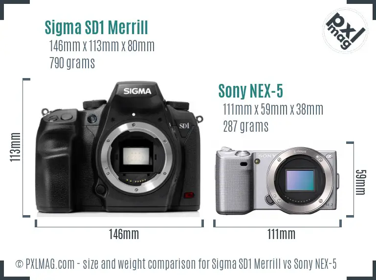 Sigma SD1 Merrill vs Sony NEX-5 size comparison