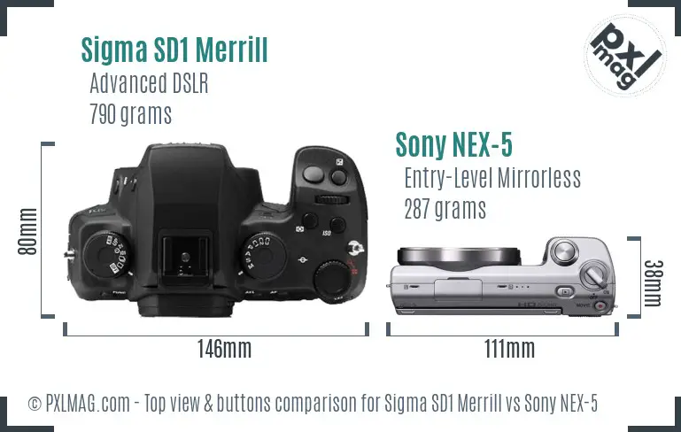 Sigma SD1 Merrill vs Sony NEX-5 top view buttons comparison