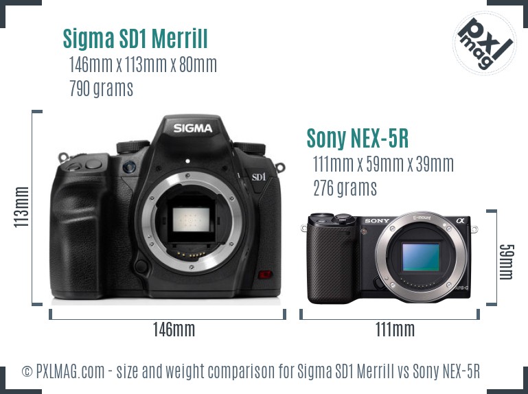 Sigma SD1 Merrill vs Sony NEX-5R size comparison
