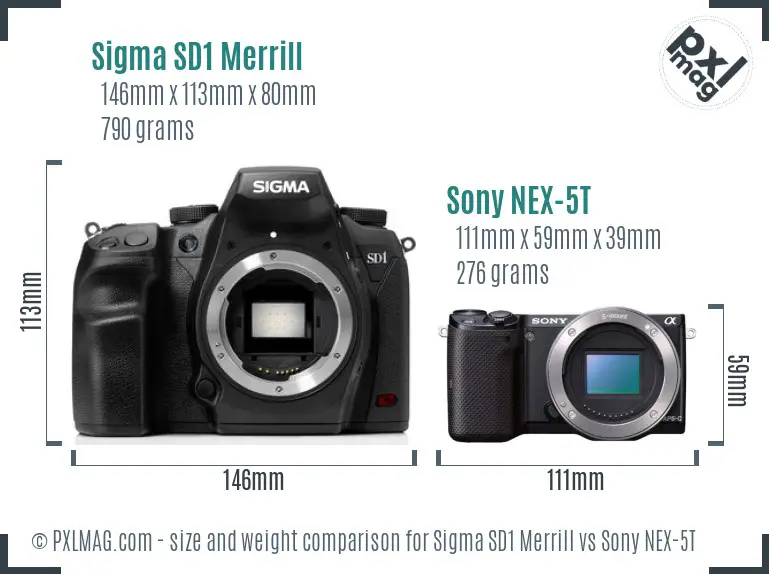 Sigma SD1 Merrill vs Sony NEX-5T size comparison