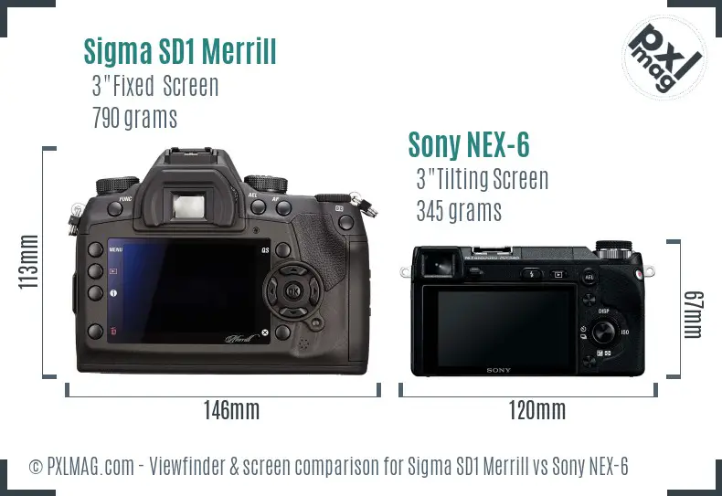 Sigma SD1 Merrill vs Sony NEX-6 Screen and Viewfinder comparison