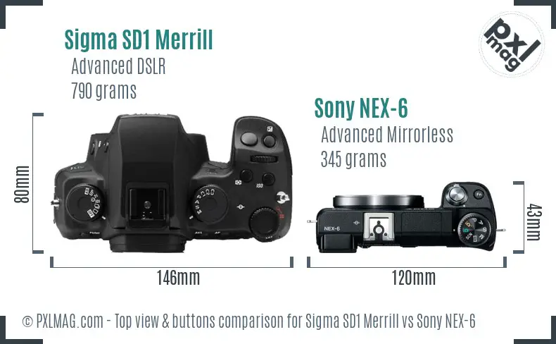 Sigma SD1 Merrill vs Sony NEX-6 top view buttons comparison