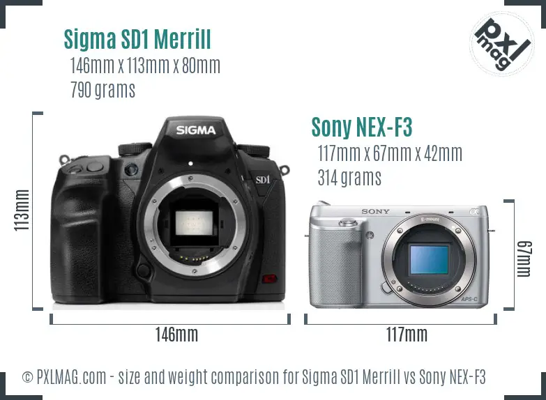 Sigma SD1 Merrill vs Sony NEX-F3 size comparison