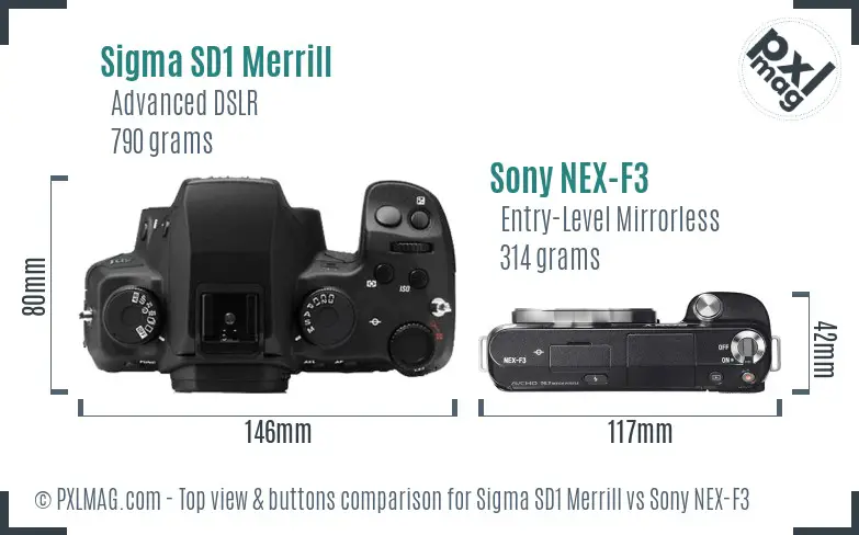 Sigma SD1 Merrill vs Sony NEX-F3 top view buttons comparison