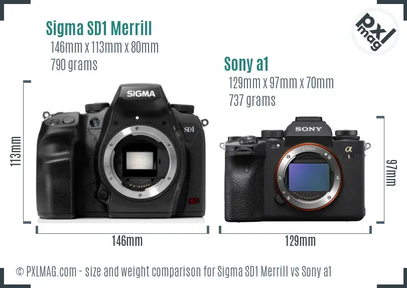 Sigma SD1 Merrill vs Sony a1 size comparison