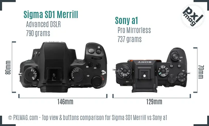Sigma SD1 Merrill vs Sony a1 top view buttons comparison
