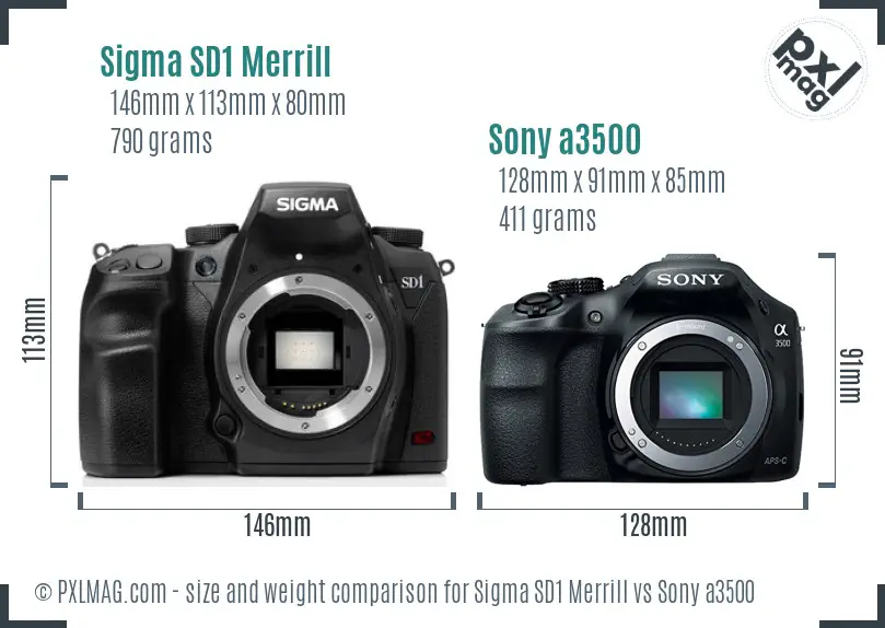 Sigma SD1 Merrill vs Sony a3500 size comparison