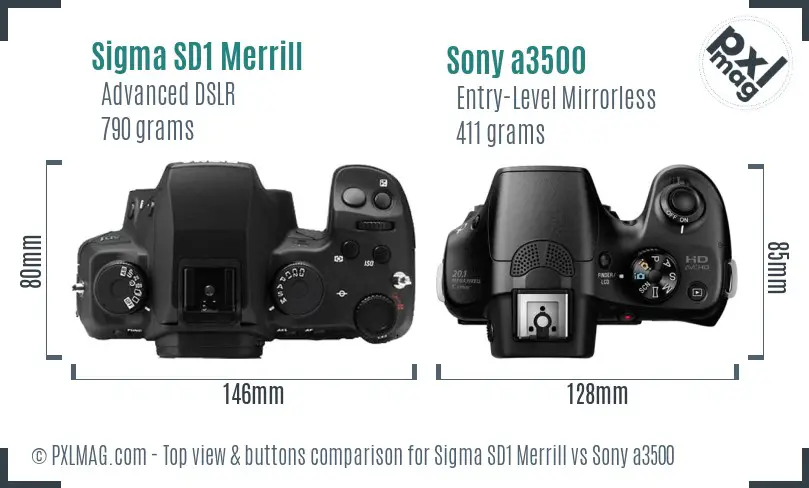 Sigma SD1 Merrill vs Sony a3500 top view buttons comparison