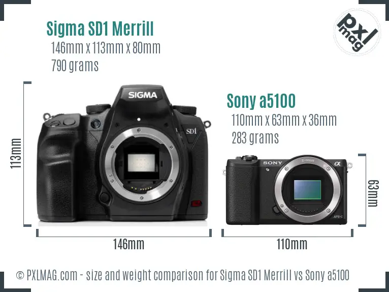 Sigma SD1 Merrill vs Sony a5100 size comparison