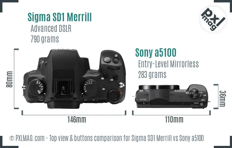 Sigma SD1 Merrill vs Sony a5100 top view buttons comparison
