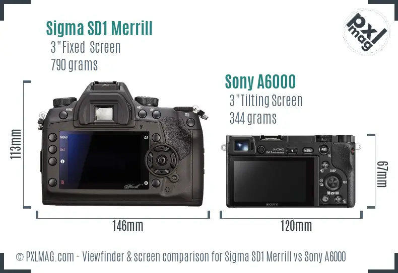 Sigma SD1 Merrill vs Sony A6000 Screen and Viewfinder comparison