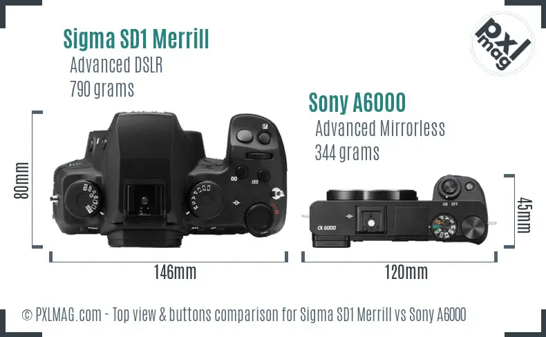Sigma SD1 Merrill vs Sony A6000 top view buttons comparison