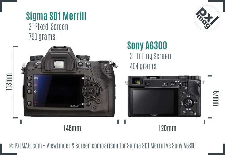 Sigma SD1 Merrill vs Sony A6300 Screen and Viewfinder comparison Sigma SD1 Merrill vs Sony A6300 Screen and Viewfinder comparison