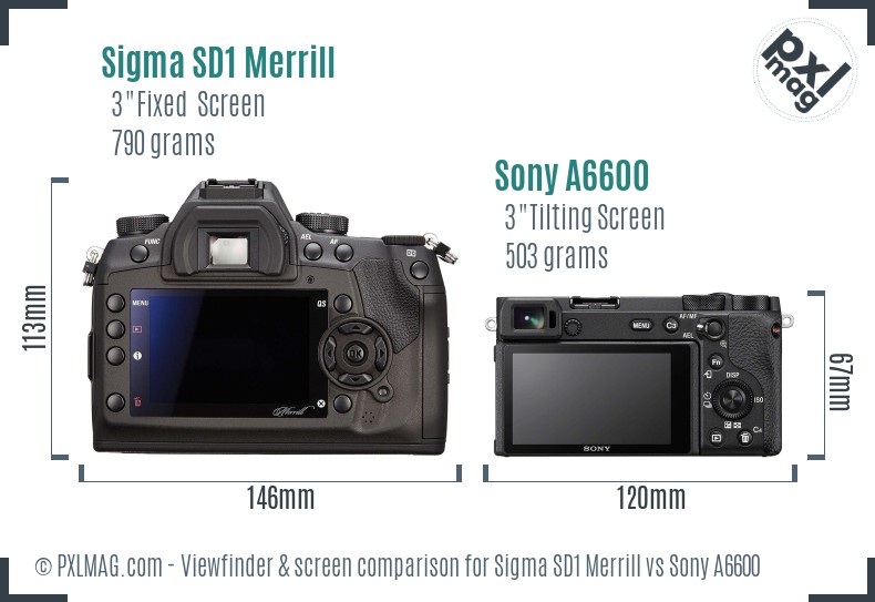 Sigma SD1 Merrill vs Sony A6600 Screen and Viewfinder comparison