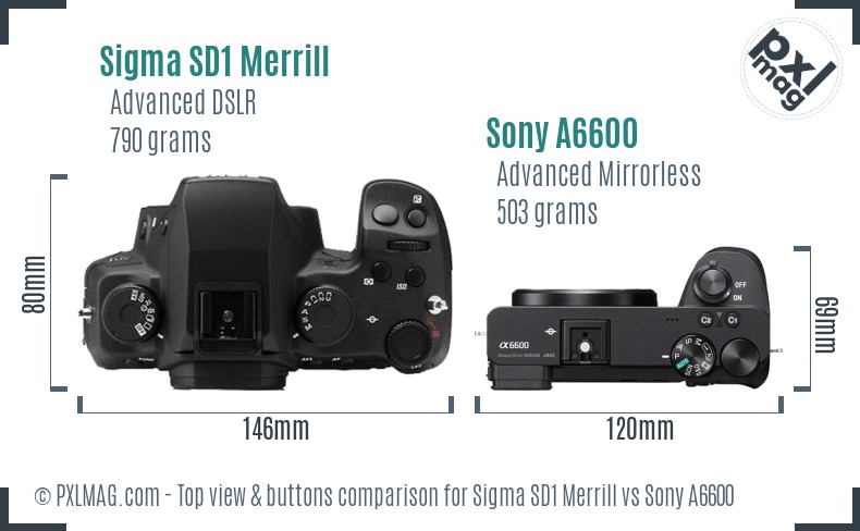 Sigma SD1 Merrill vs Sony A6600 top view buttons comparison