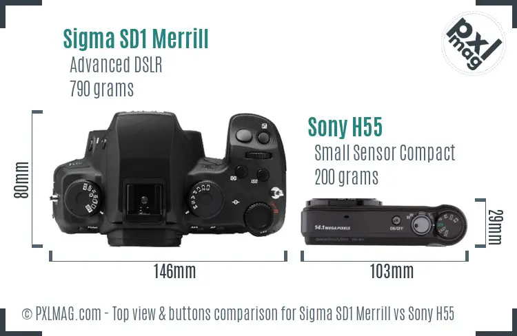 Sigma SD1 Merrill vs Sony H55 top view buttons comparison