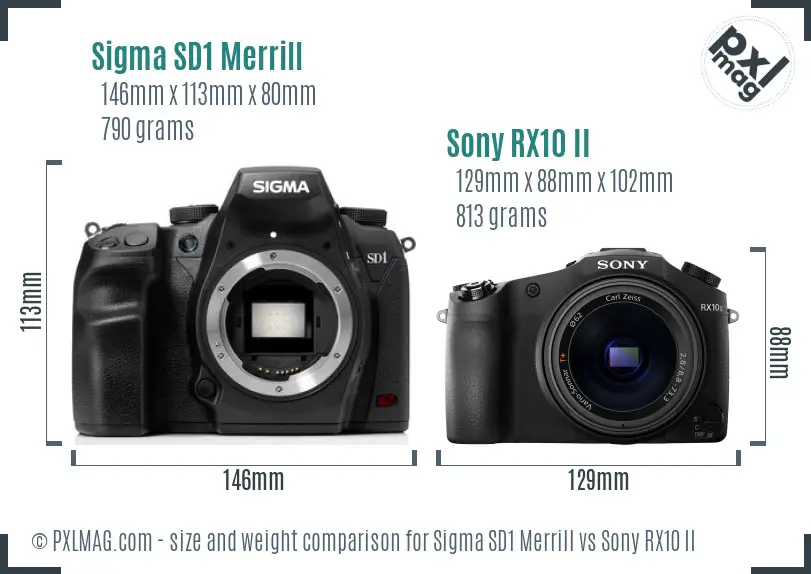 Sigma SD1 Merrill vs Sony RX10 II size comparison