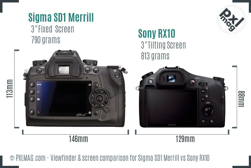 Sigma SD1 Merrill vs Sony RX10 Screen and Viewfinder comparison Sigma SD1 Merrill vs Sony RX10 Screen and Viewfinder comparison