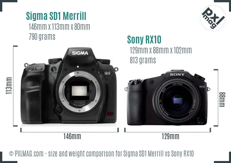 Sigma SD1 Merrill vs Sony RX10 size comparison Sigma SD1 Merrill vs Sony RX10 size comparison