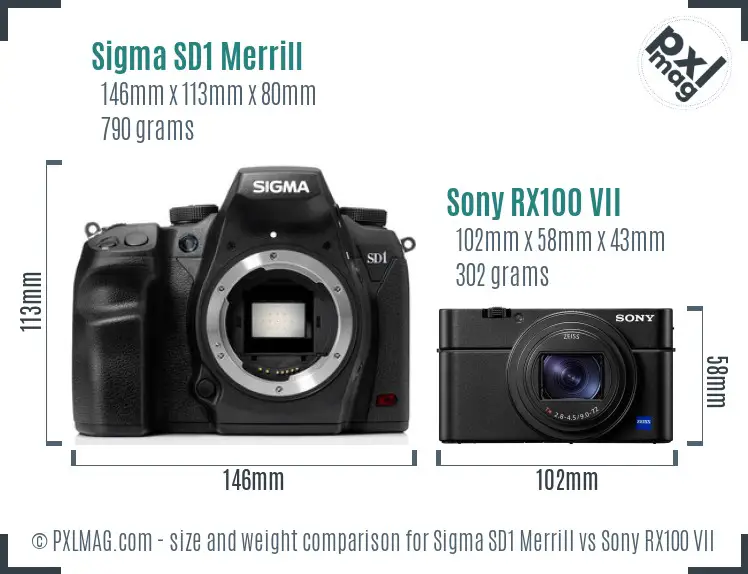 Sigma SD1 Merrill vs Sony RX100 VII size comparison