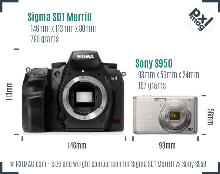 Sigma SD1 Merrill vs Sony S950 size comparison