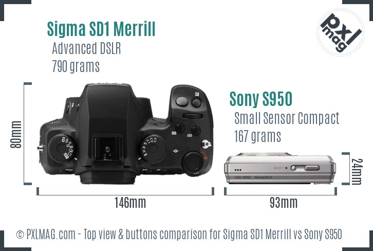 Sigma SD1 Merrill vs Sony S950 top view buttons comparison