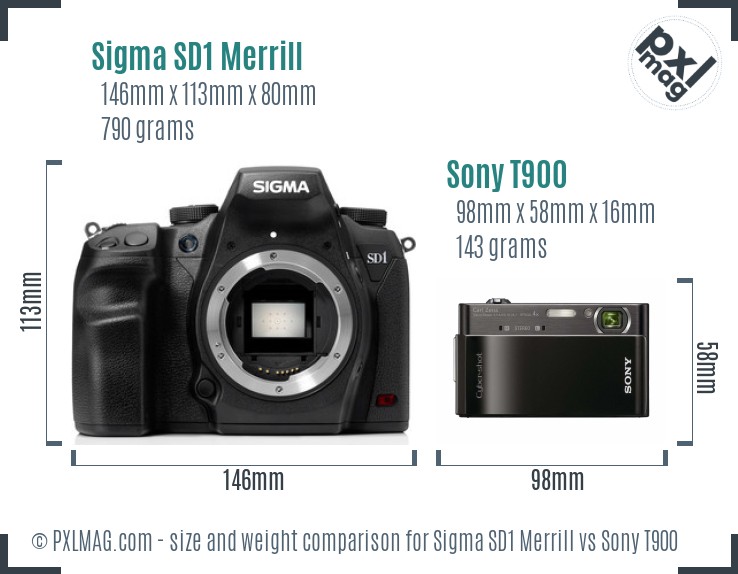 Sigma SD1 Merrill vs Sony T900 size comparison