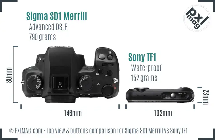 Sigma SD1 Merrill vs Sony TF1 top view buttons comparison