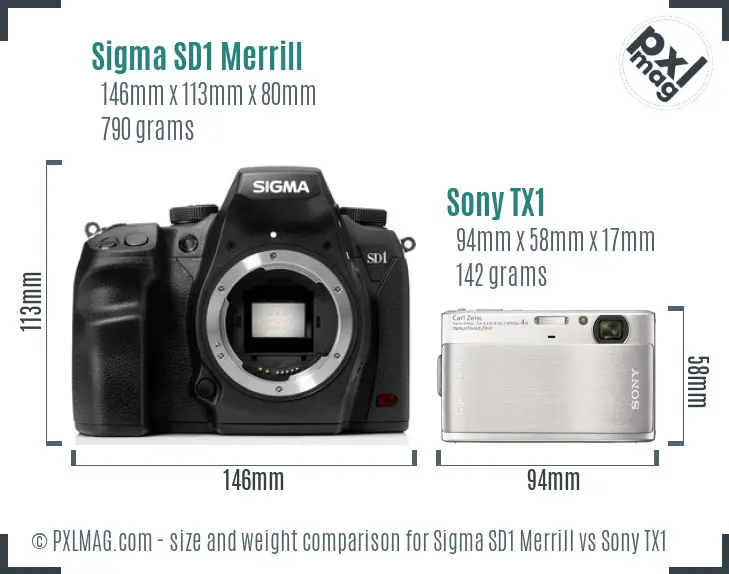 Sigma SD1 Merrill vs Sony TX1 size comparison