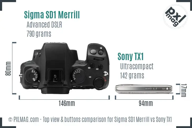 Sigma SD1 Merrill vs Sony TX1 top view buttons comparison