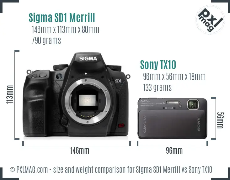 Sigma SD1 Merrill vs Sony TX10 size comparison