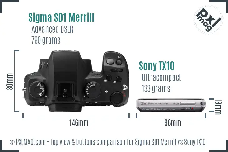Sigma SD1 Merrill vs Sony TX10 top view buttons comparison