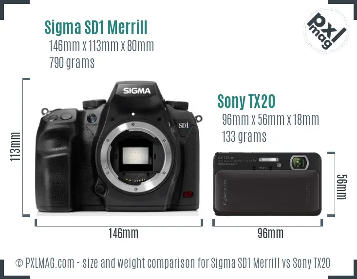 Sigma SD1 Merrill vs Sony TX20 size comparison