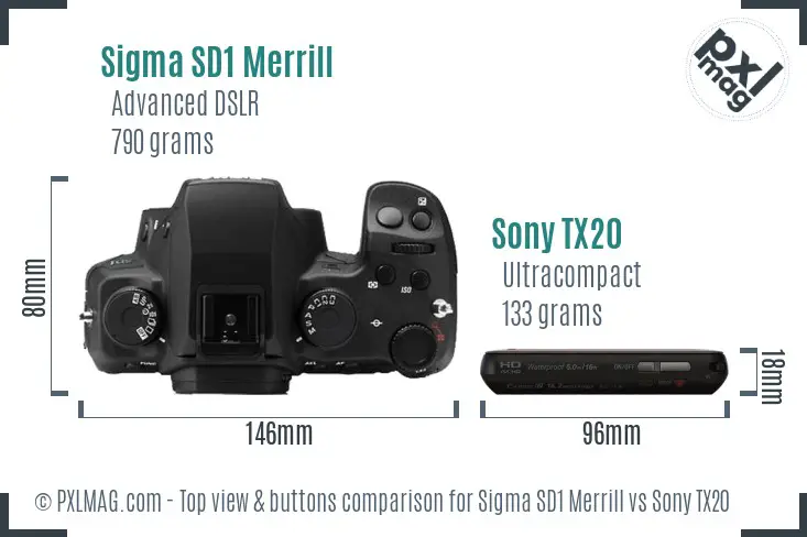 Sigma SD1 Merrill vs Sony TX20 top view buttons comparison