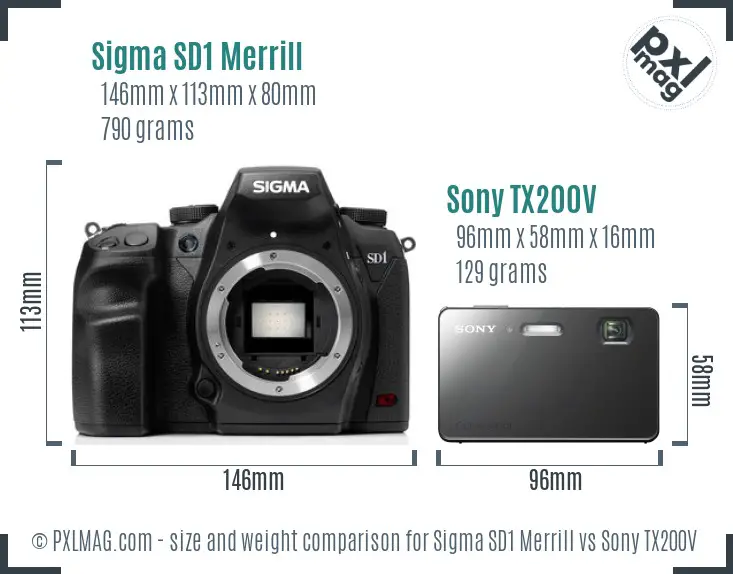 Sigma SD1 Merrill vs Sony TX200V size comparison